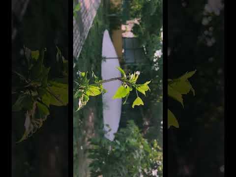 Silent Cut